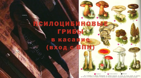 бошки Кулебаки
