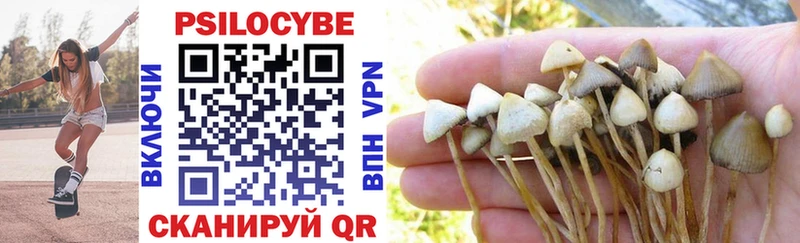 купить наркотики цена  Мамоново  Псилоцибиновые грибы Psilocybe 